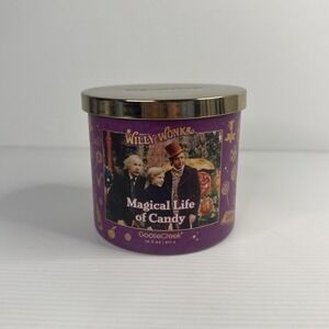 Goose Creek Willy Wonka Magical Life of Candy Candle 3 Wick New Fruity Candy